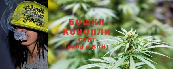 бошки Анива